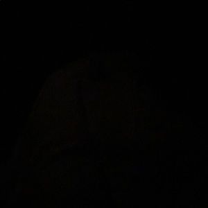 Meet your Posher, Tish